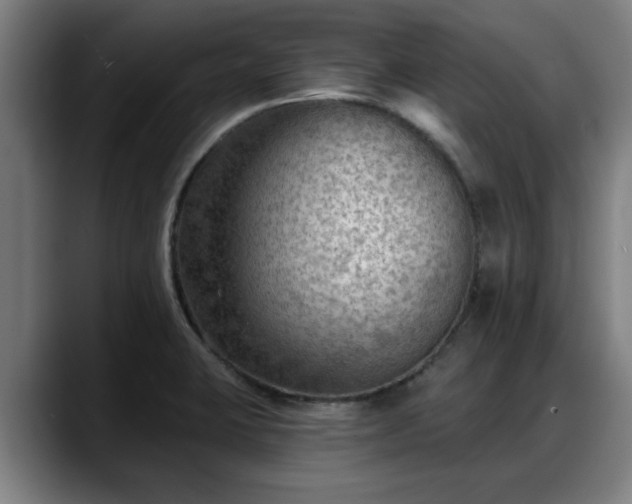 X0000088831423200706141512