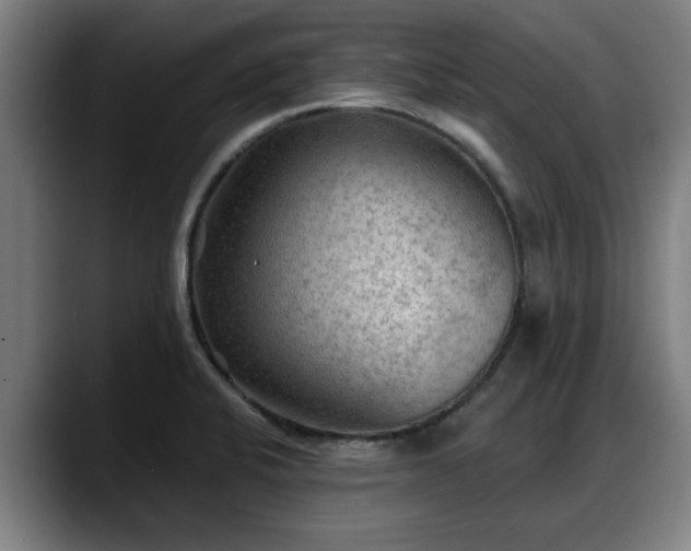 X0000088831424200706141512