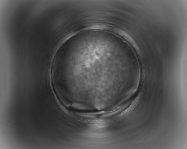 X0000088831425200706141512