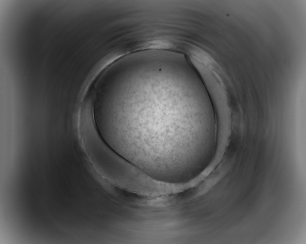 X0000088831426200706141512