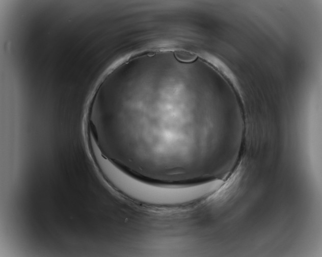 X0000088831429200706141512