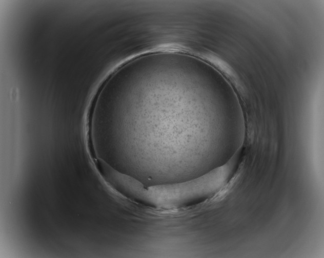 X0000088831430200706141512