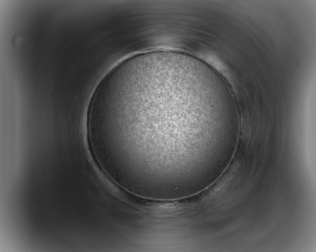 X0000088831431200706141512