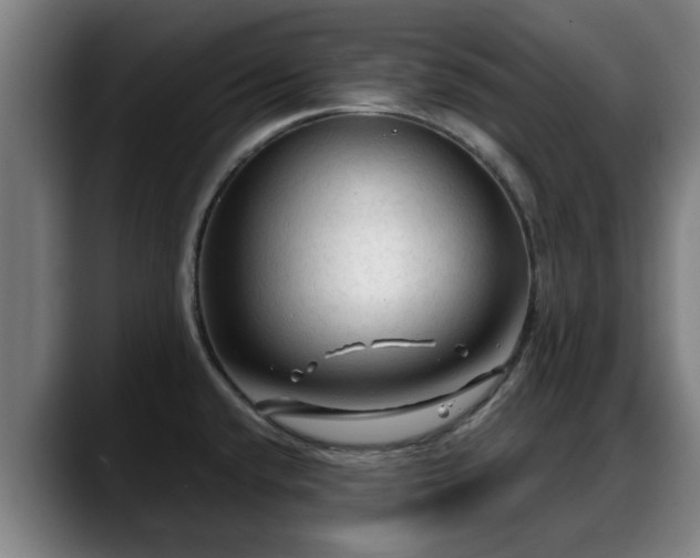 X0000088831432200706141512