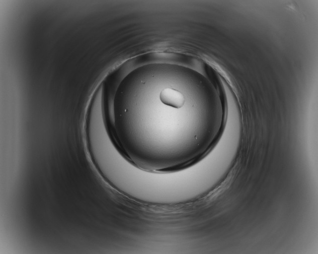 X0000088831434200706141512