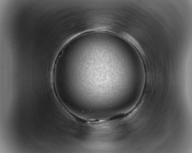 X0000088831436200706141512