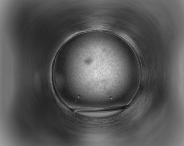 X0000088831439200706141512