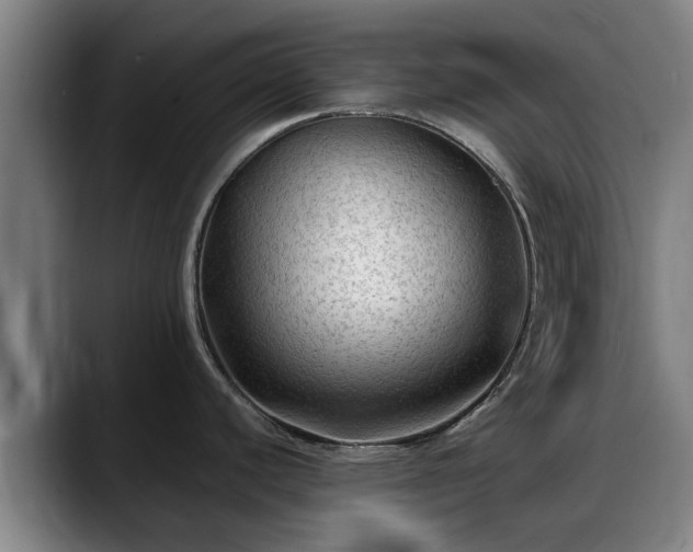 X0000088831440200706141512