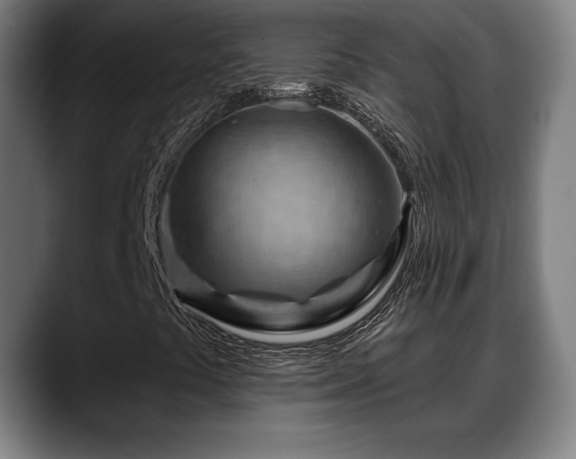X0000088831441200706141512