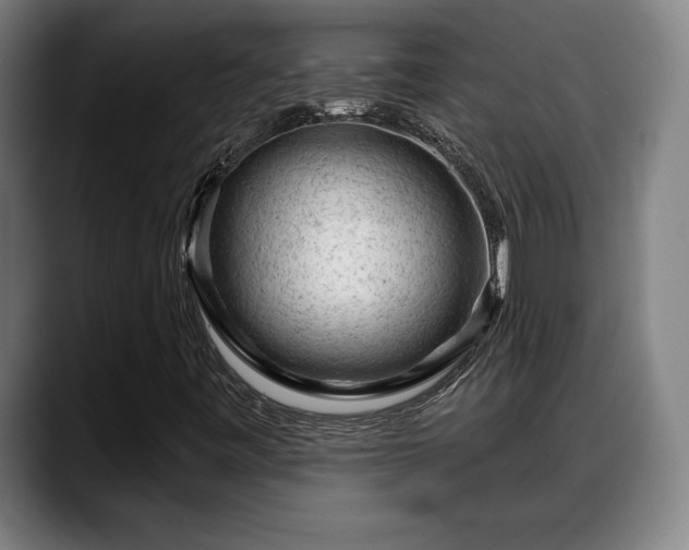 X0000088831443200706141512