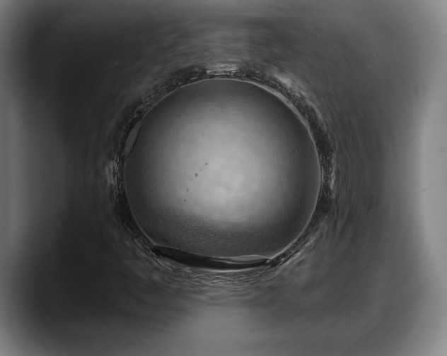 X0000088831445200706141512