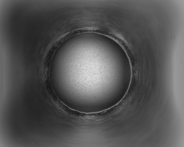 X0000088831448200706141512