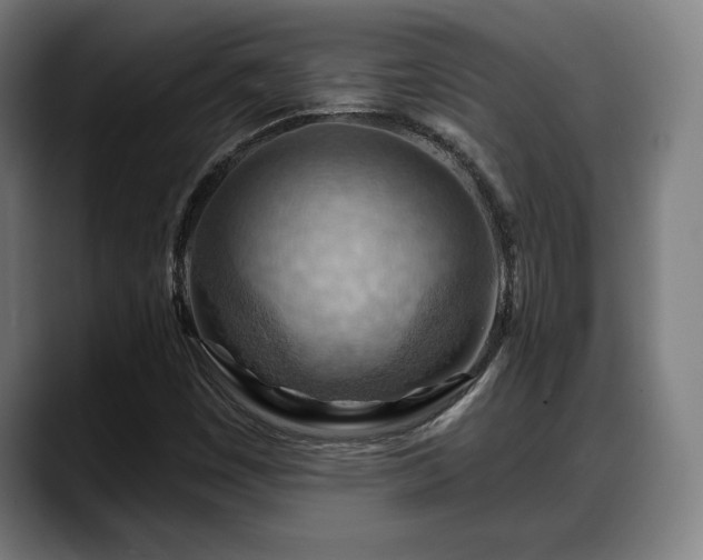 X0000088831449200706141512