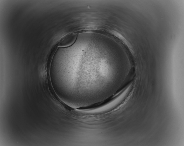 X0000088831450200706141512