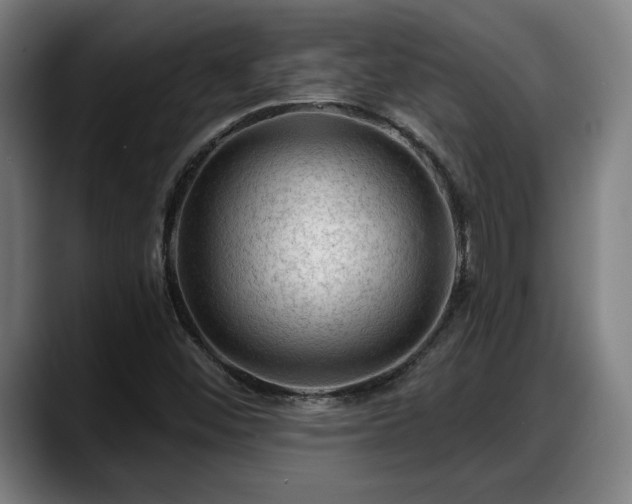 X0000088831452200706141512