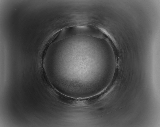 X0000088831453200706141512