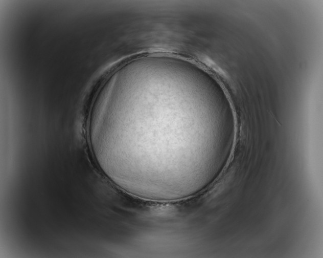 X0000088831454200706141512