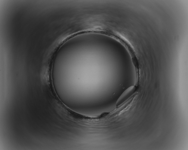 X0000088831455200706141512
