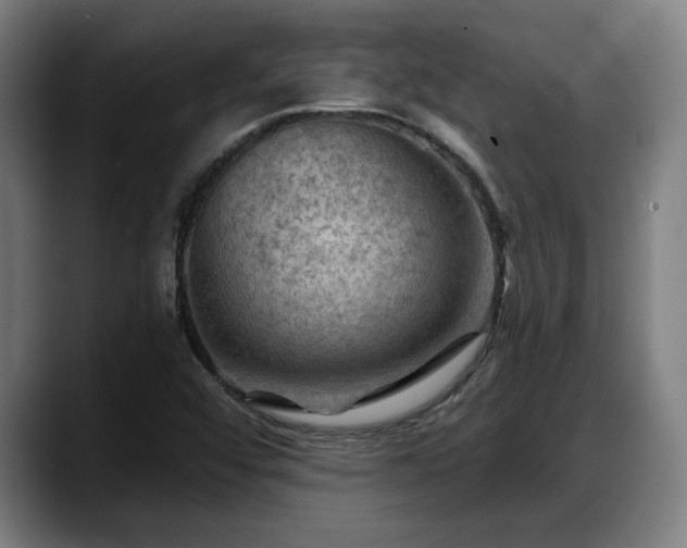 X0000088831456200706141512