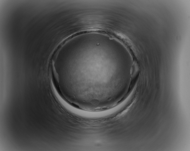X0000088831457200706141512