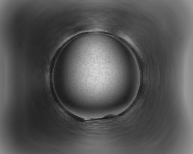 X0000088831460200706141512