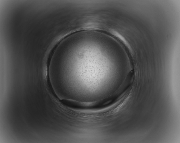X0000088831461200706141512