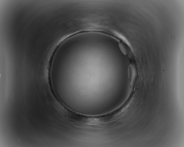 X0000088831463200706141512
