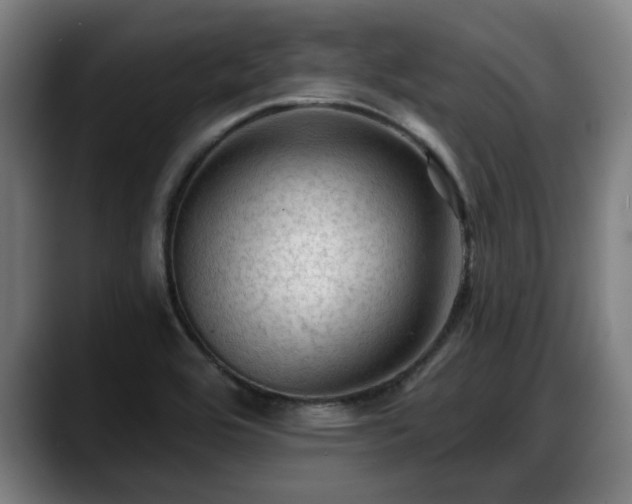 X0000088831464200706141512