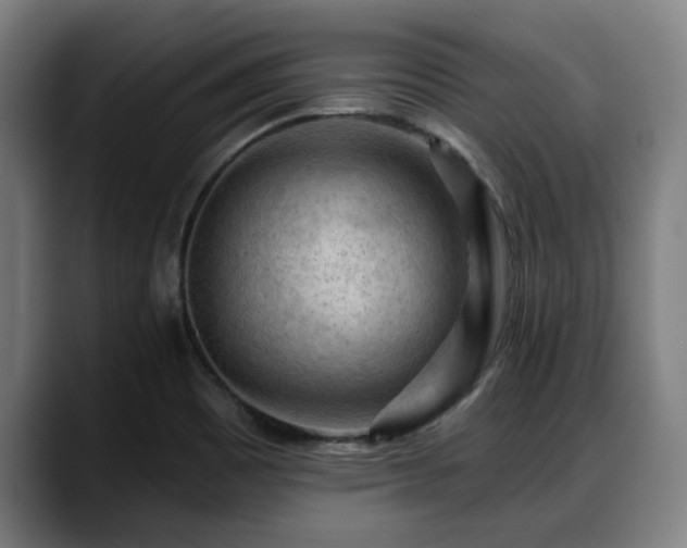 X0000088831465200706141512