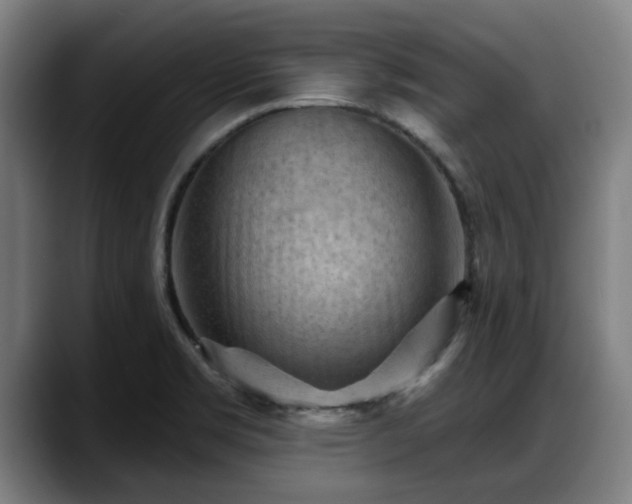X0000088831469200706141512