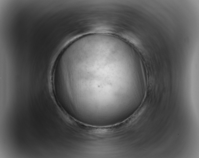 X0000088831470200706141512