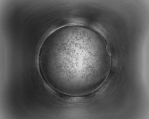 X0000088831471200706141512