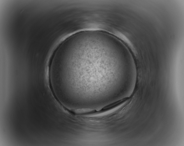 X0000088831472200706141512