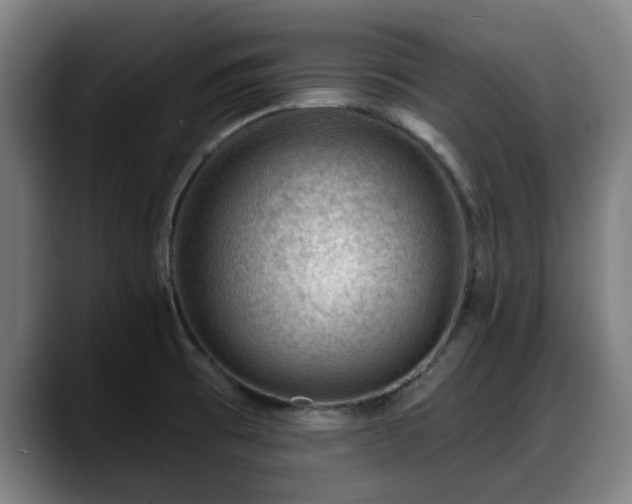 X0000088831473200706141512