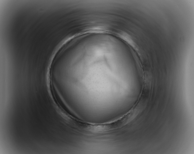 X0000088831474200706141512