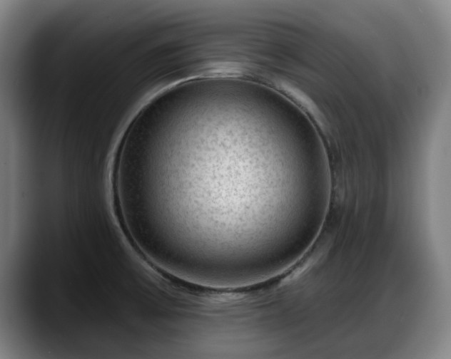 X0000088831475200706141512