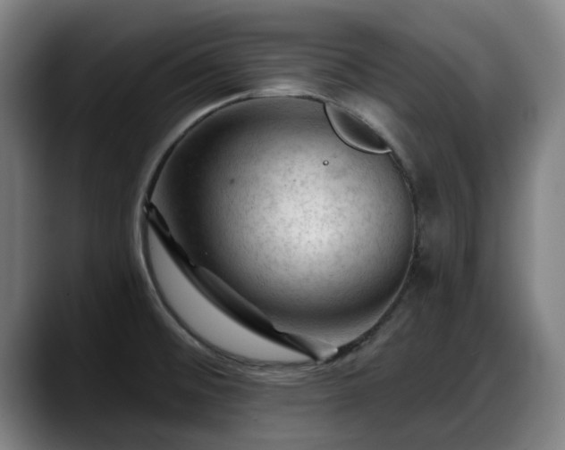 X0000088831476200706141511