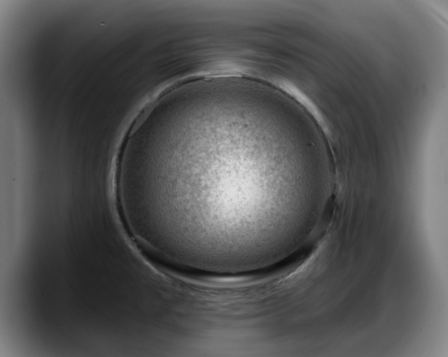 X0000088831477200706141511