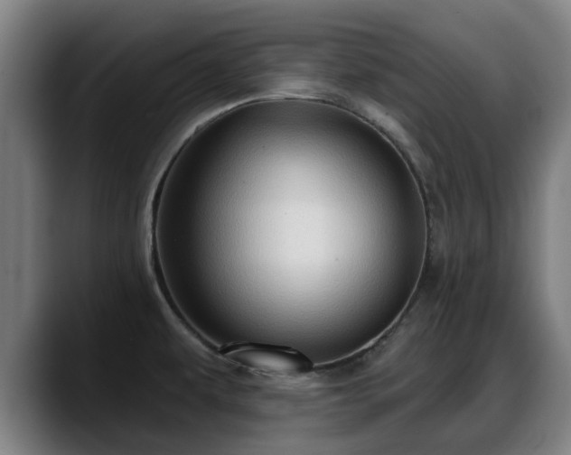 X0000088831479200706141511