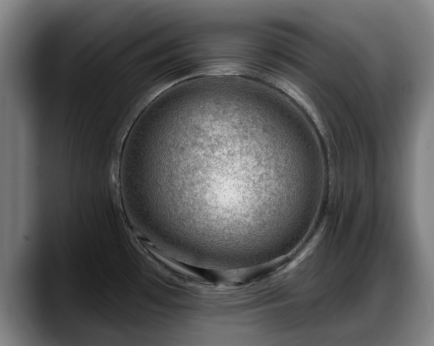 X0000088831481200706141511