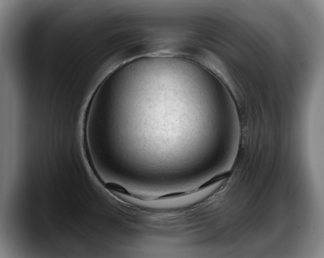 X0000088831483200706141511