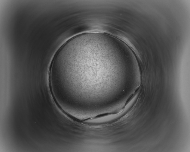 X0000088831484200706141511