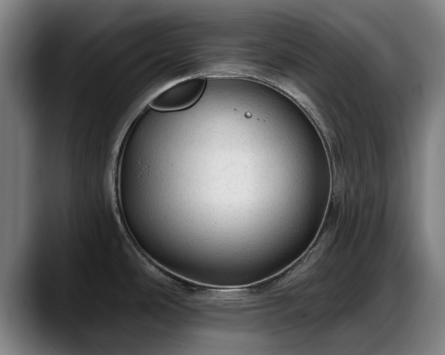 X0000088831486200706141511