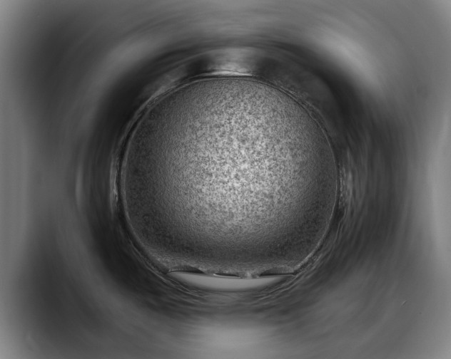 X0000088831487200706141511