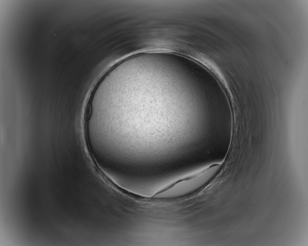 X0000088831488200706141511