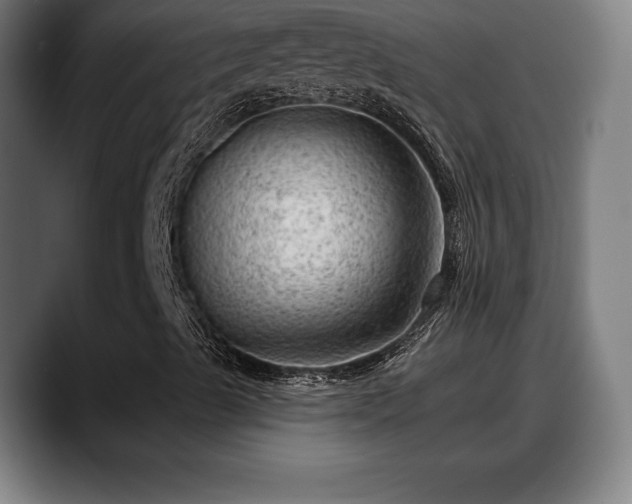 X0000088831489200706141511