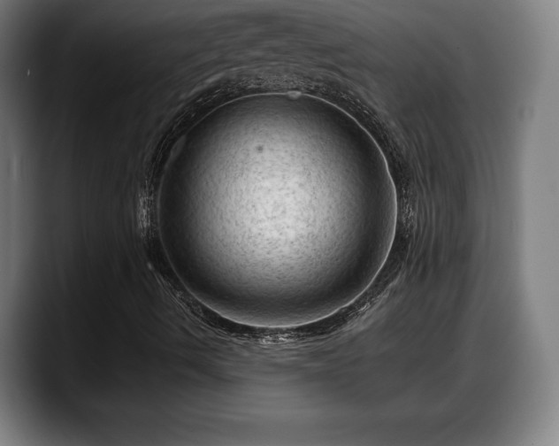 X0000088831490200706141511