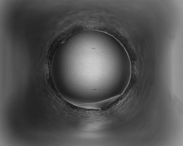 X0000088831493200706141511
