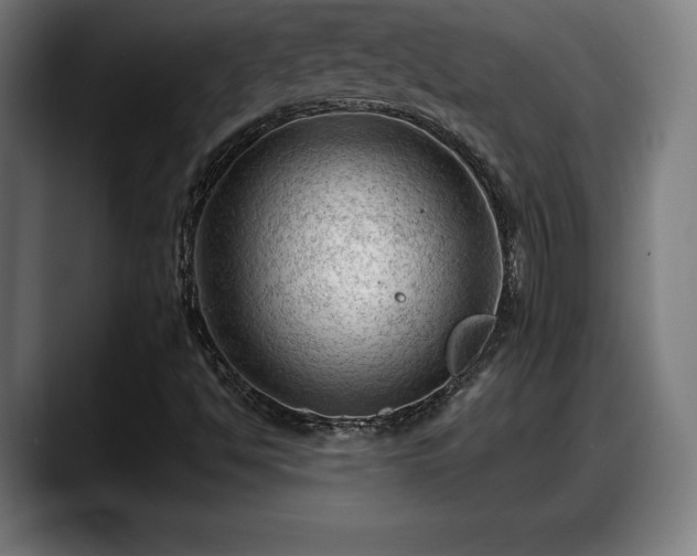 X0000088831494200706141511