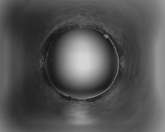 X0000088831495200706141511